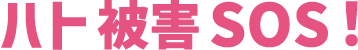 ハト被害SOS！