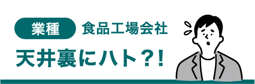業種 食品工場会社 天井裏にハト？！