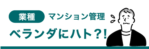 業種 マンション管理 ベランダにハト？！