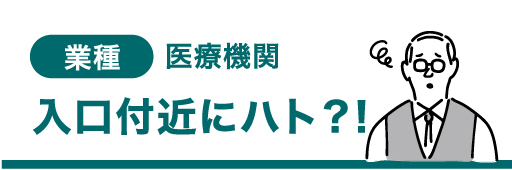 業種 医療機関 入口付近にハト？！