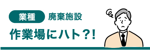 業種 廃棄施設 作業場にハト？！