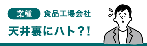 業種 食品工場会社 天井裏にハト？！