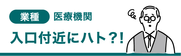 業種 医療機関 入口付近にハト？！